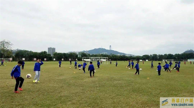 冬訓，來梧州！梧州體訓基地冬訓有序開展(圖1)