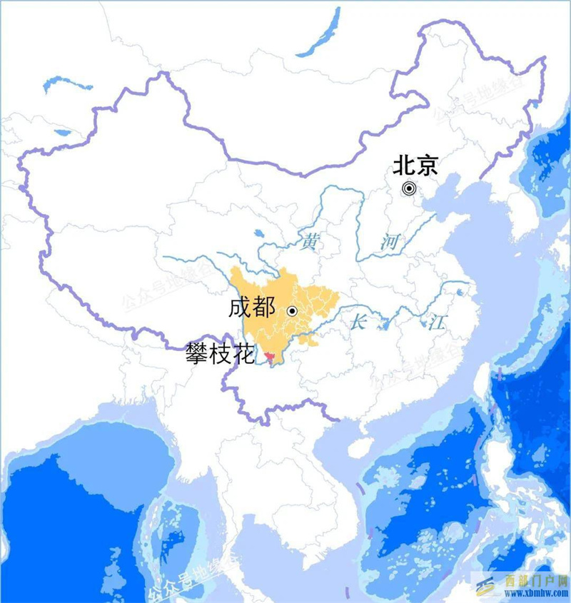 四川攀枝花是什么花？(圖3)