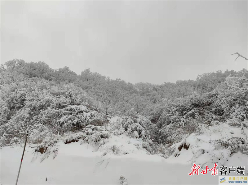 天水：霧凇美景惹人醉(圖3)