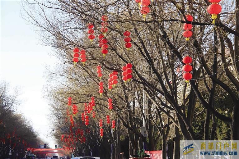 酒泉金塔縣：大紅燈籠高高掛(圖1)