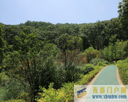 重慶北碚縉云山之半山美景——黛湖、玻璃棧道、白云觀、白...(圖4)