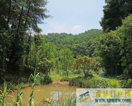 重慶北碚縉云山之半山美景——黛湖、玻璃棧道、白云觀、白...(圖5)