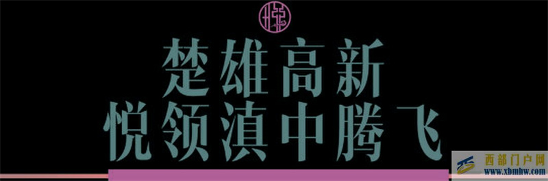 楚雄仨興·新悅府全屋名品精裝現房，驚艷楚雄美好生活(圖2)