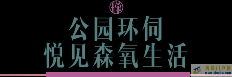 楚雄仨興·新悅府全屋名品精裝現房，驚艷楚雄美好生活(圖4)