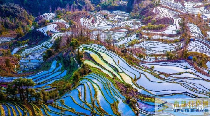 紅河梯田世界文化遺產(chǎn)延續(xù)千年之謎(圖6)