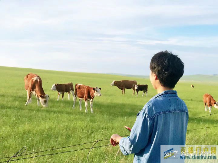 想去錫林郭勒草原不知道怎么玩(圖9)