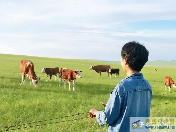 想去錫林郭勒草原不知道怎么玩(圖10)