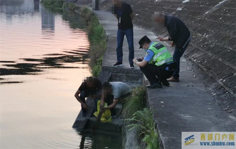 綿陽一老人捕獲一條體長80多厘米野生大鯢熱心市民重金購買放生(圖1)