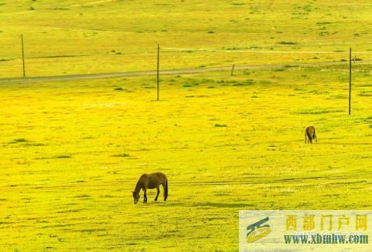 內蒙古烏蘭察布旅游攻略(圖3)