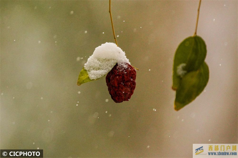 新疆哈密迎來降雪降溫天氣(圖3)