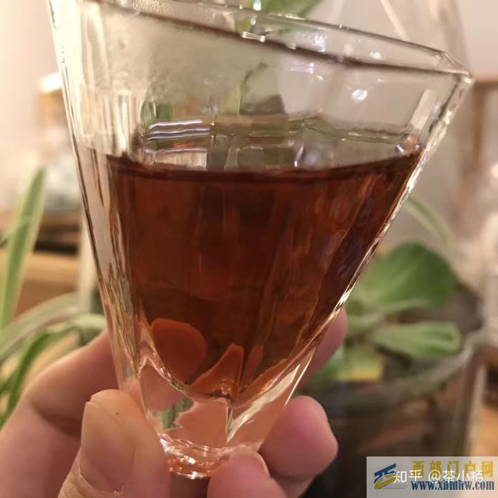 什么是普洱茶普洱茶有什么功效(圖4)