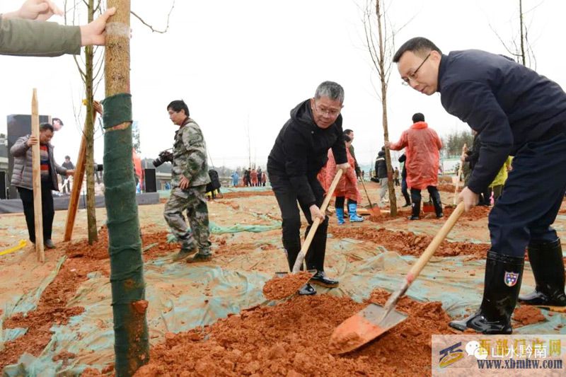 7800余名干部職工為黔南“添新綠”(圖1)