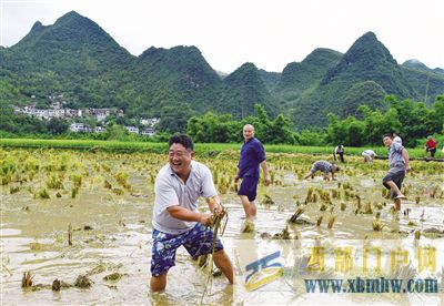 解碼鄉村文旅振興的“黔西南樣本”(圖1)