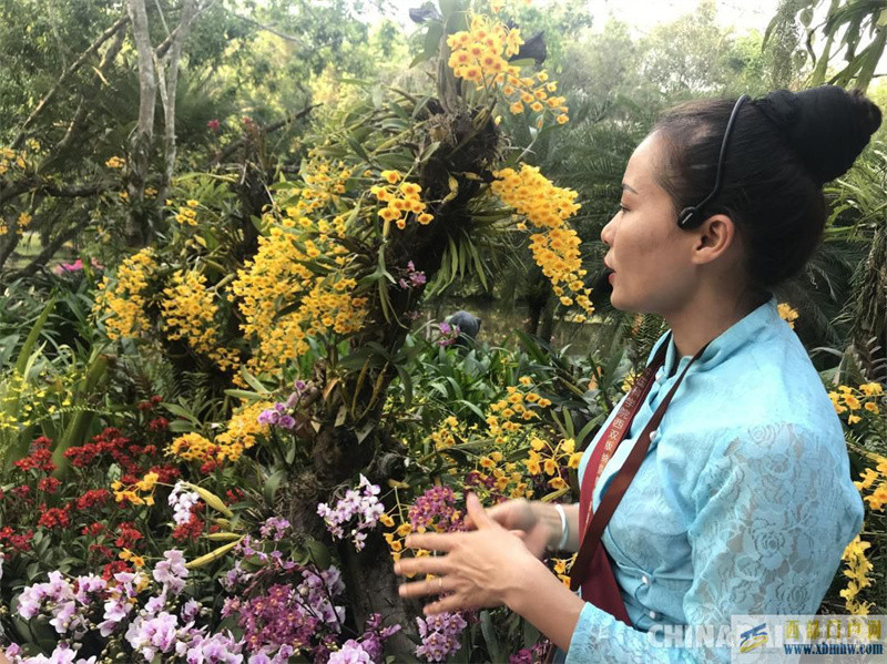 走進中國科學院西雙版納熱帶植物園(圖1)