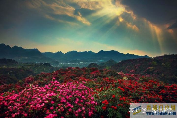 推薦貴州旅游十大景點,貴州最值得去的10個景點(圖4)