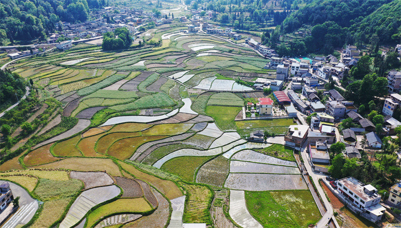 新華全媒+“水淹壩”治水——貴州布依山鄉治水興村見聞(圖1)