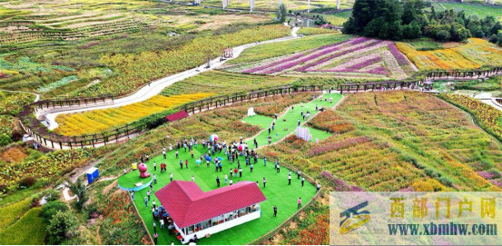 秋景醉人廣西河池百花盛開等你來打卡(圖3)