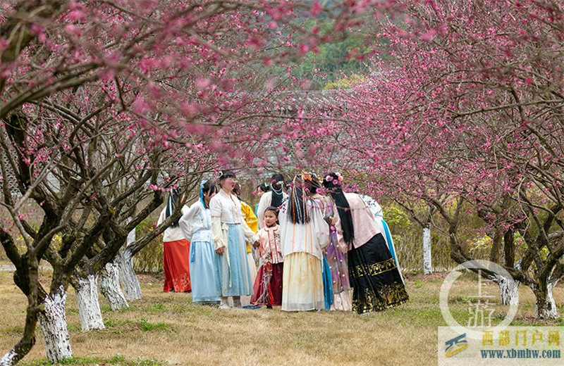 重慶南川：驚蟄賞花春意濃(圖3)