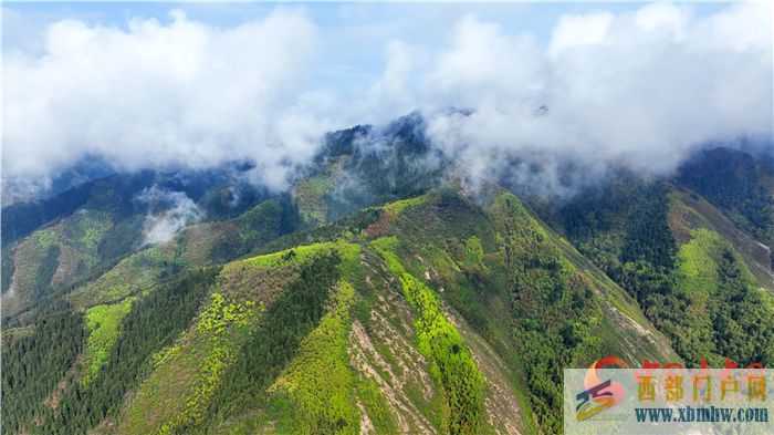 【隴拍客】蘭州榆中興隆山：雨后煙景綠晴天散馀霞(圖3)