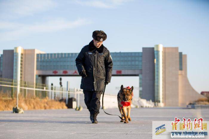 內(nèi)蒙古二連浩特為警犬舉行退役儀式(圖5)