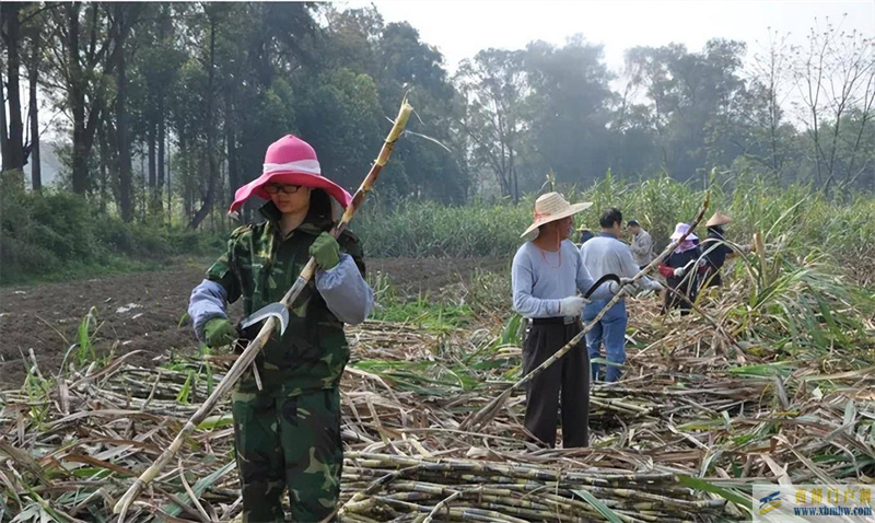 吃不膩的廣西粥，道不盡的廣西情-廣西粥品介紹(圖2)