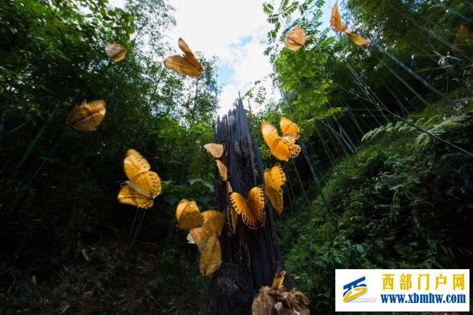 【國際生物多樣性日】中國·紅河蝴蝶谷即將迎來蝴蝶大爆發(圖1)