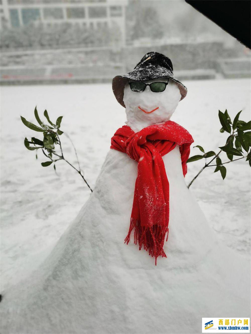 望巴蜀酉陽下雪啦！下得那么深，下得那么認真……(圖4)