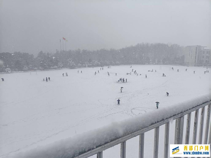 望巴蜀酉陽下雪啦！下得那么深，下得那么認真……(圖3)