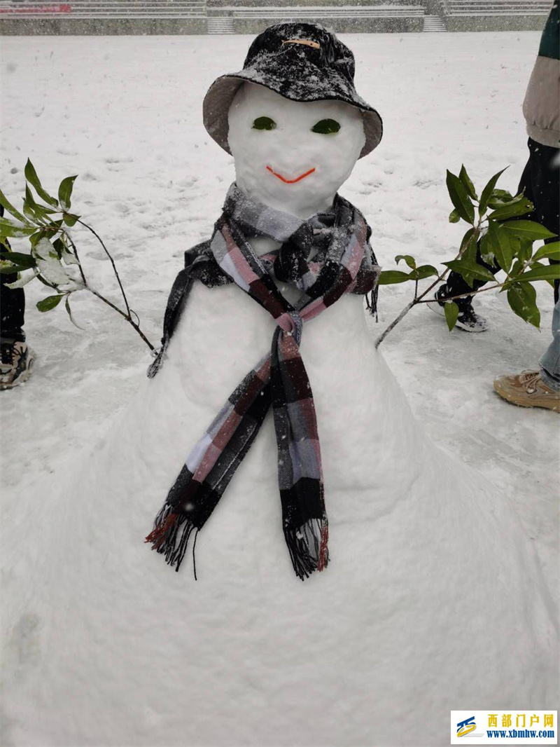 望巴蜀酉陽下雪啦！下得那么深，下得那么認真……(圖5)