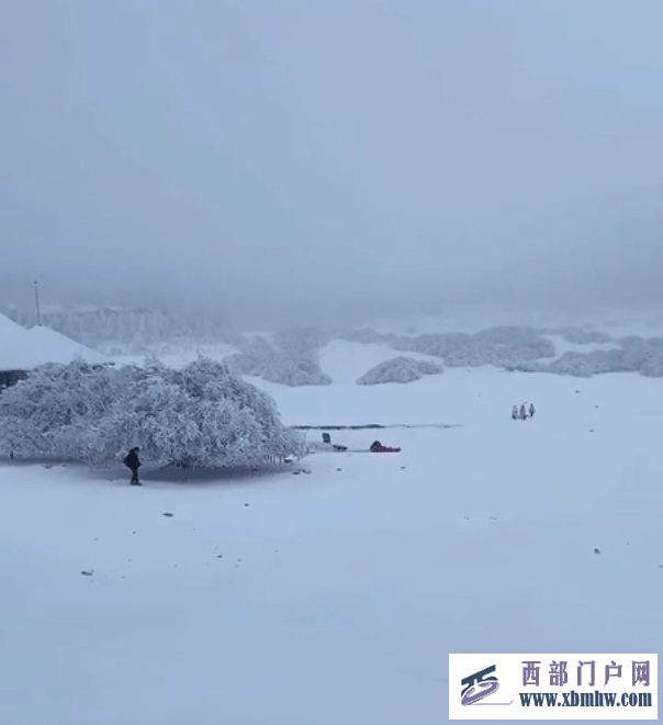 武隆天坑、武隆仙女山國家森林公園迎來降雪(圖1)