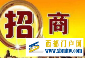 前5月招商引資到位資金75億金昌借船乘風正當其時(圖1)