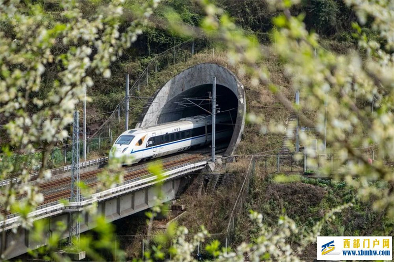 石柱版開往春天的列車來了(圖1)