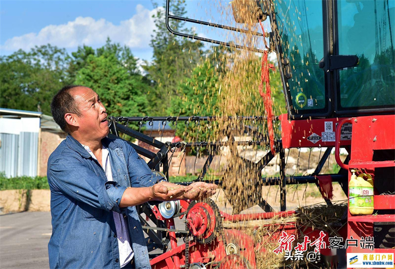 慶陽：機聲隆隆收割忙(圖4)