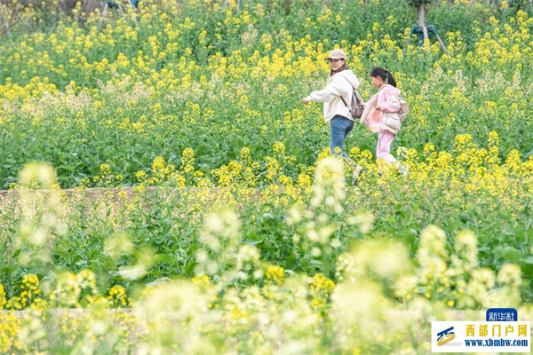 重慶都市田園春色好