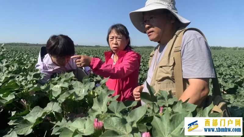 基地“一盤棋” 隊伍“一張網” 西部中心聚力科技援疆(圖1)