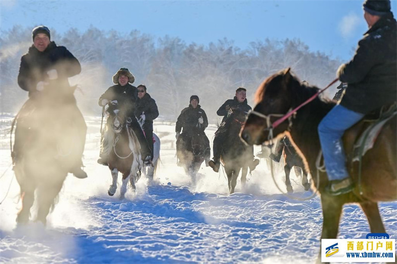 追著雪花看新疆丨冬閑變冬忙 “額河第一村”的華麗蝶變