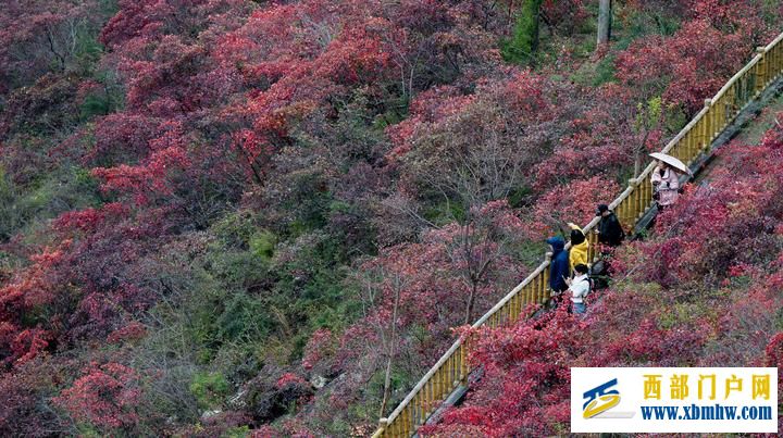 長江六日(圖10)