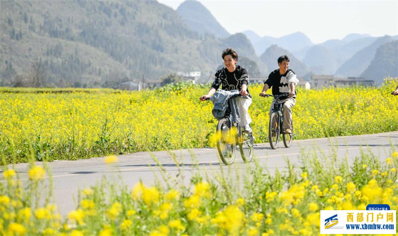 油菜花開春意濃(圖4)