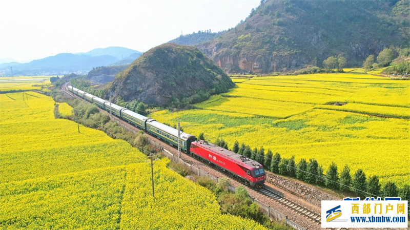 “賞花專列”開進云南羅平油菜花海(圖1)