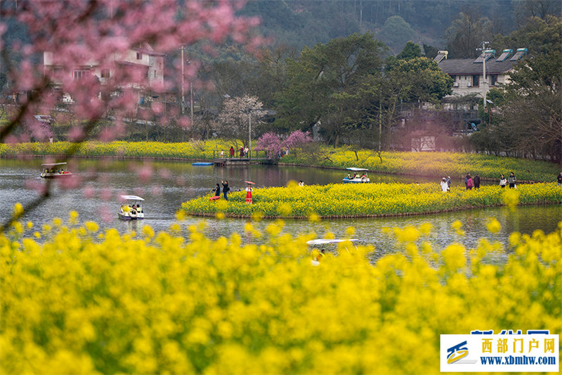 重慶巴南：花海踏春景如畫(圖4)