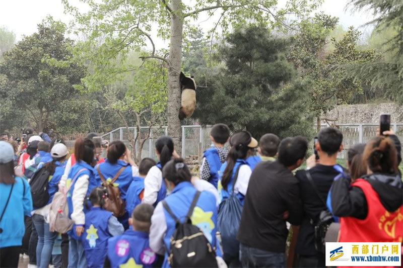 陜西：40名“星星的孩子”暢游西安秦嶺野生動物園(圖1)