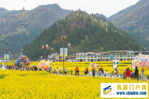 春花盛事，震撼巴山 | 2024最美油菜花海漢中旅游文化節鎮巴分會場活動隆重舉行(圖7)