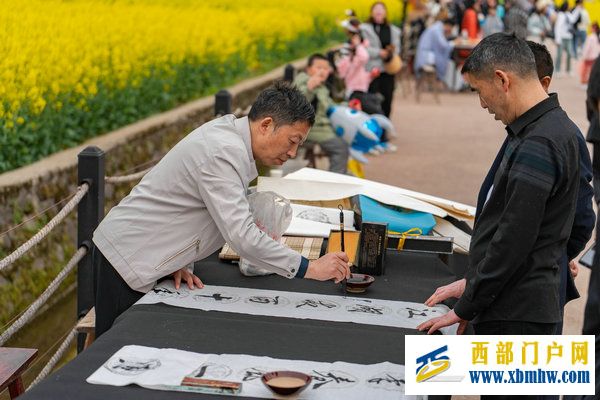 春花盛事，震撼巴山 | 2024最美油菜花海漢中旅游文化節鎮巴分會場活動隆重舉行(圖16)