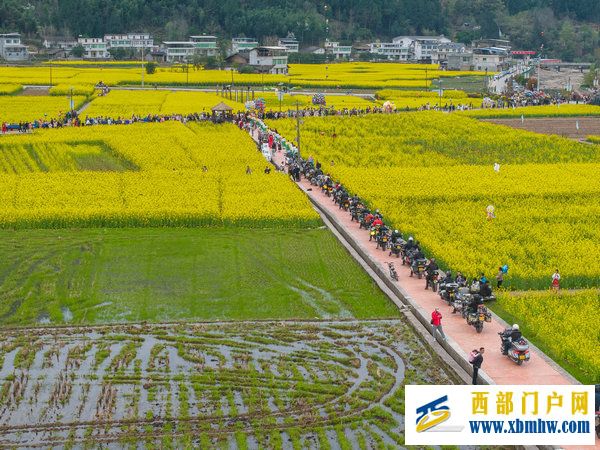 春花盛事，震撼巴山 | 2024最美油菜花海漢中旅游文化節鎮巴分會場活動隆重舉行(圖19)