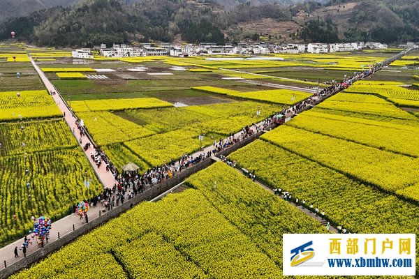 春花盛事，震撼巴山 | 2024最美油菜花海漢中旅游文化節鎮巴分會場活動隆重舉行(圖22)