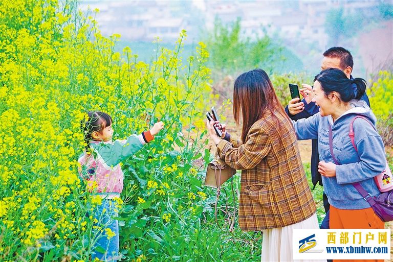 一朵花背后的經濟密碼(圖2)