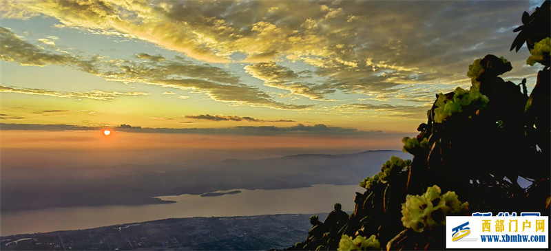 朝霞如錦杜鵑花作伴 共賞大理蒼山頂峰美景(圖2)