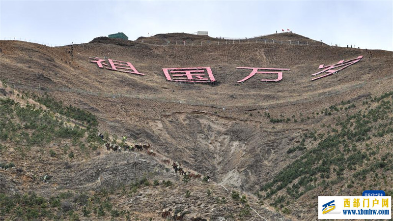 西藏拉薩：只此青綠畫“兩山”(圖2)