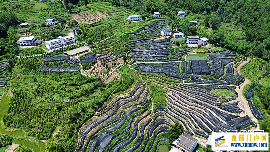 重慶發布十大生態產品價值實現典型案例(圖3)