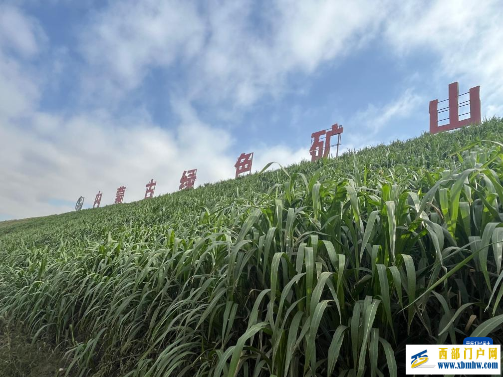 黃河菌草生態(tài)安全屏障建設(shè)現(xiàn)場(chǎng)座談會(huì)在內(nèi)蒙古舉行(圖2)